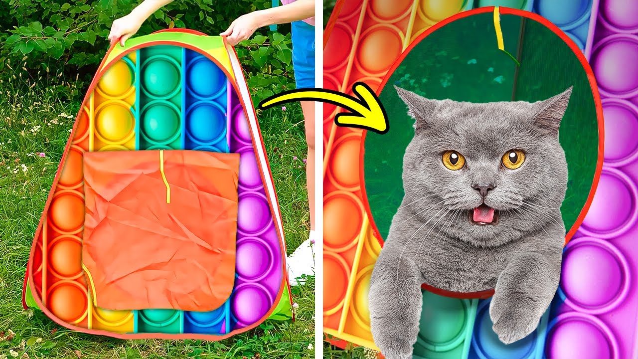 Cat Camping 🐈🌳 :: Fantastic Crafts For Pets And Smart Pet Gadgets That Might Be Useful