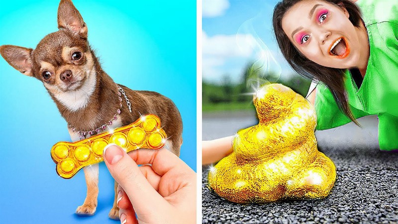 Cool Gadgets And Tricks For Dog Owners :: Smart Pet Hacks