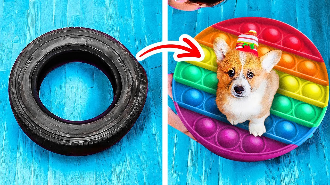 Cute Pet Hacks 🐕🐱🤩 :: Cheap Crafts For Pets And Smart Gadgets That Will Ease Your Life