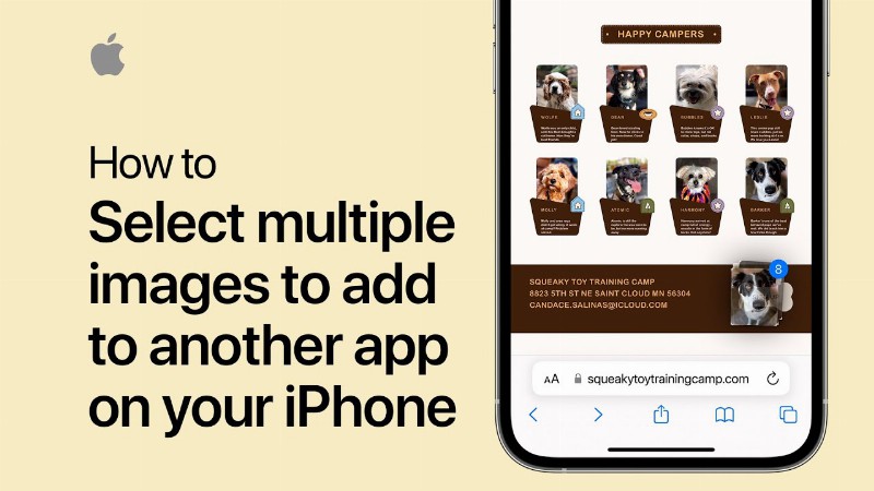 How To Select Multiple Images To Add To Another App On Your Iphone Or Ipad : Apple Support