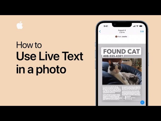 image 0 How To Use Live Text In A Photo On Iphone And Ipad : Apple Support