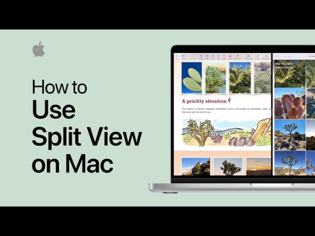 image 0 How To Use Split View On Mac : Apple Support