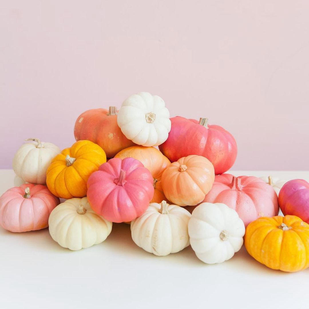 Sara Walk - Pumpkins are popping up in all the stores and I’m itching to decorate